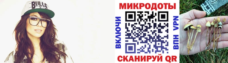 Галлюциногенные грибы Psilocybine cubensis купить наркотики сайты MEGA как войти Тында