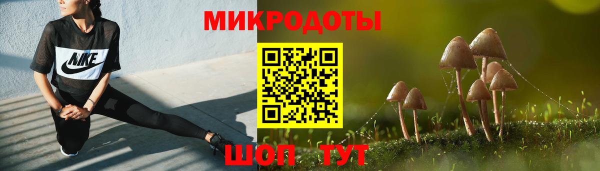 Галлюциногенные грибы Psilocybine cubensis Тында