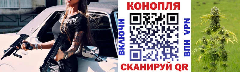 MEGA tor  наркошоп  Тында  МАРИХУАНА семена 